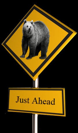 Bear Sign-Just Ahead