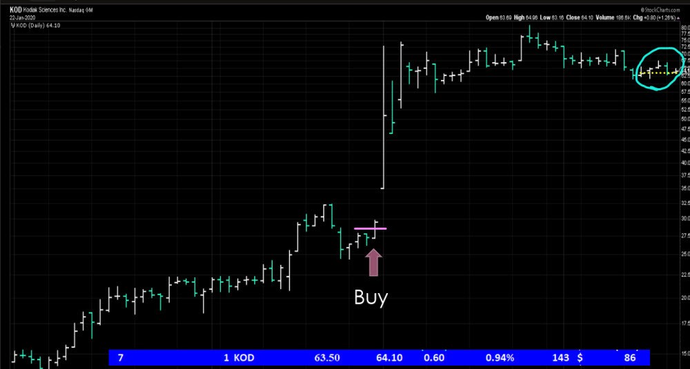 Dave Landry's Portfolio-KOD trade