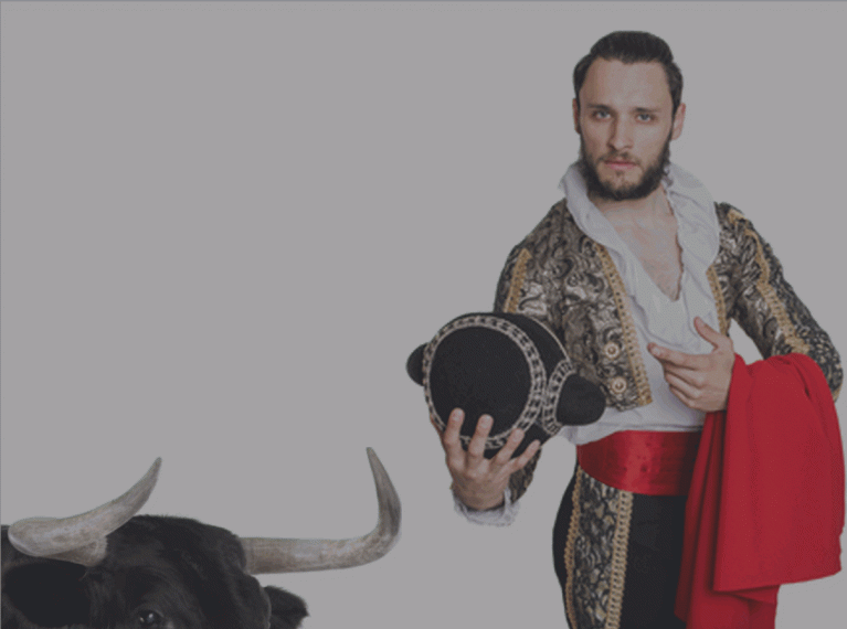 Matador w/Bull